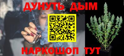 apvp Аша