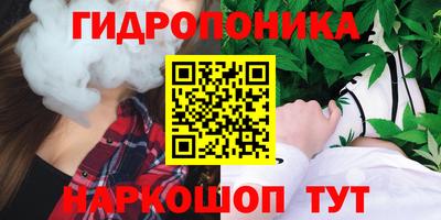 шишки Баксан