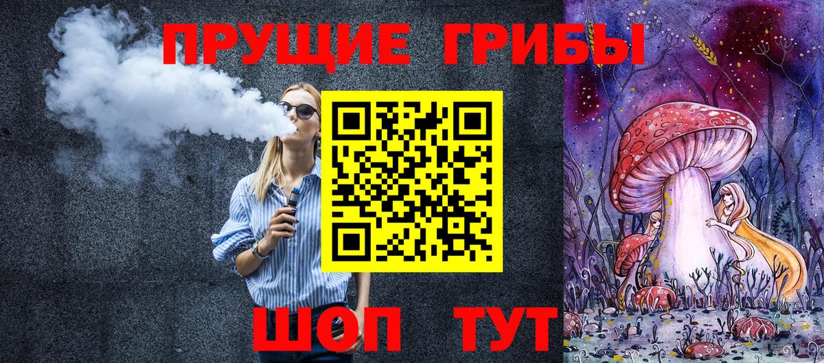 Псилоцибиновые грибы Psilocybine cubensis Барнаул