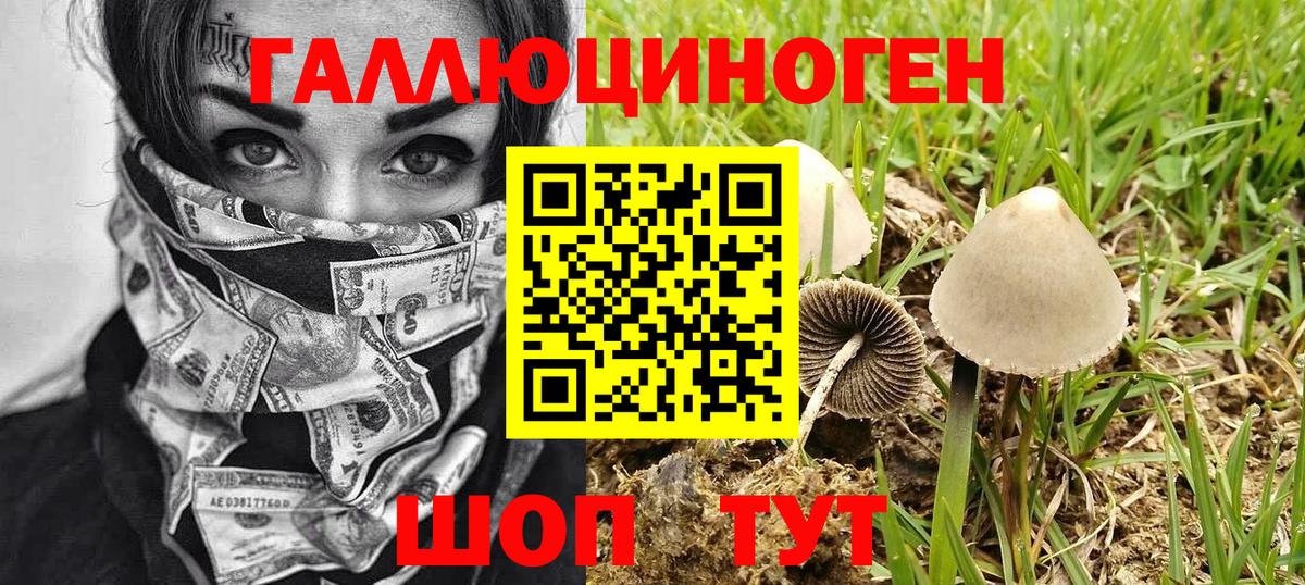 Барнаул  как найти закладки  Вход с VPN  Галлюциногенные грибы Magic Shrooms 